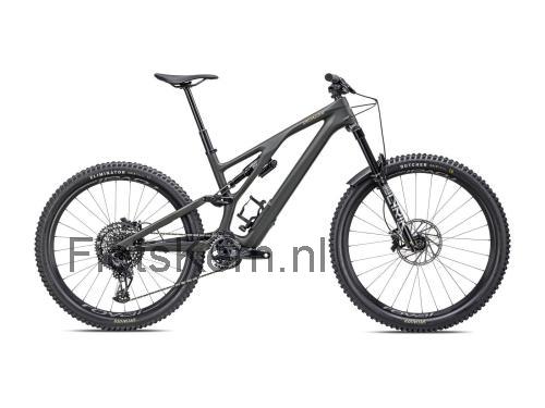 Specialized Stumpjumper EVO beoordelingen en specificaties